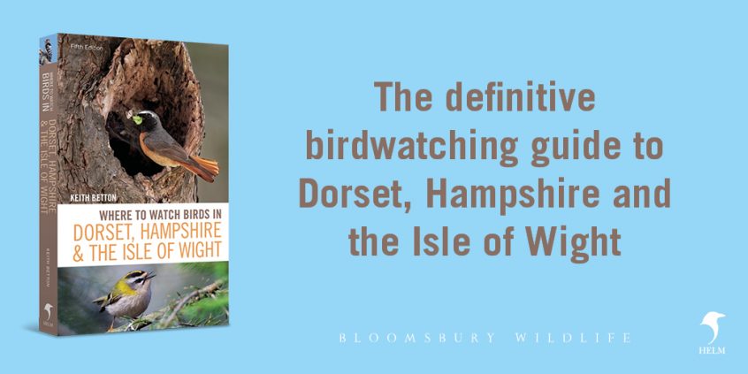 WTWB Social Media Card