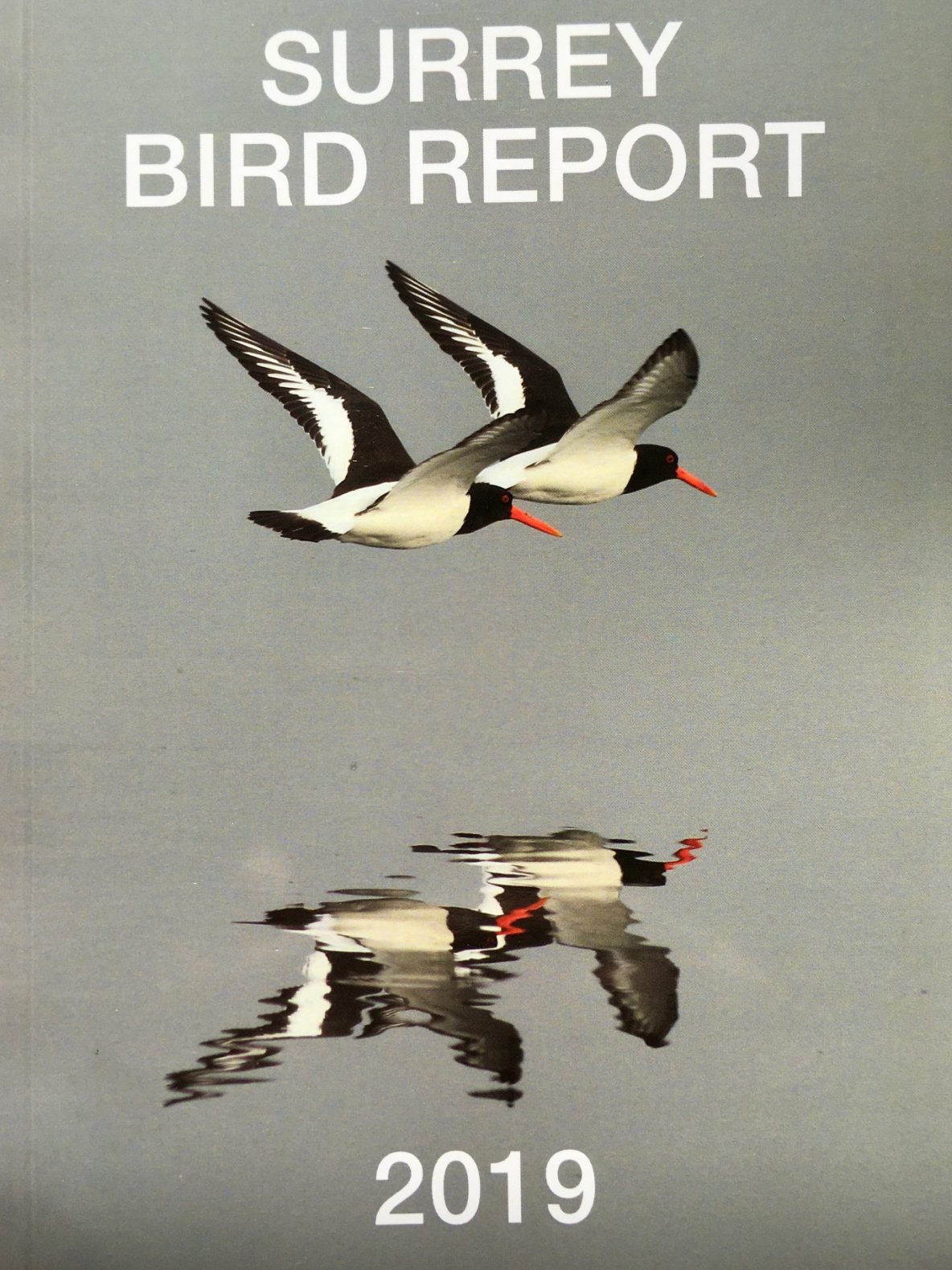 SBR 2019 front cover