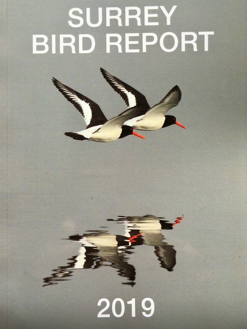 SBR 2019 front cover