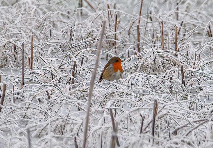 Winter 22 Tices (Colin Varndell )