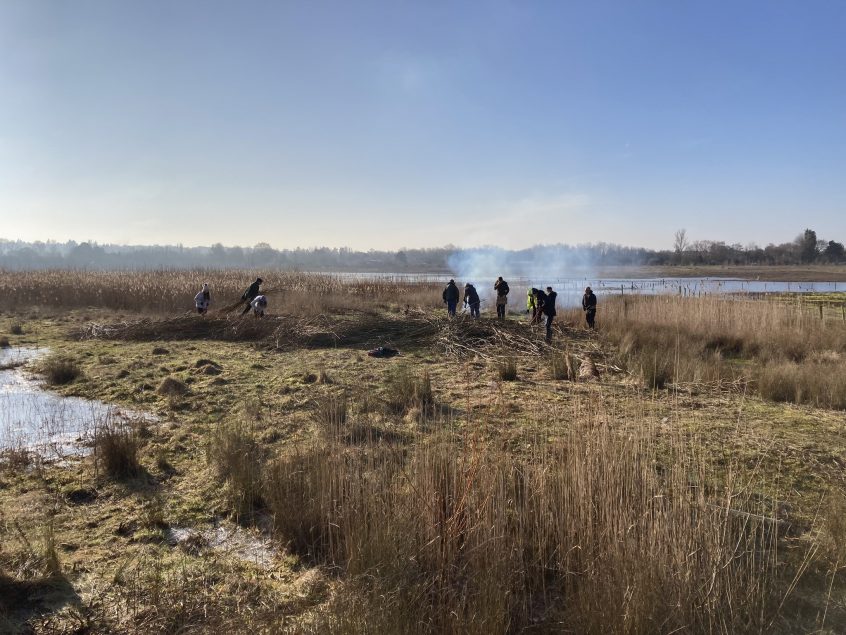 Willow Cutting at Tice's Meadow