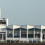 Black Tern, Island Barn Reservoir (D Harris).