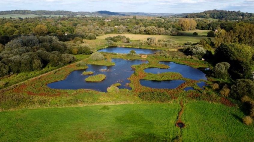 Unstead Wetlands (David Hodson)