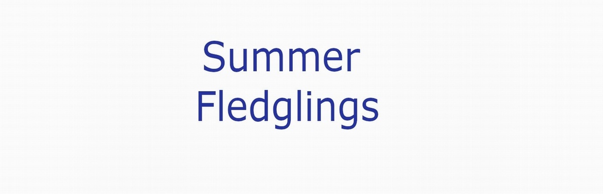 Slider Heading Summer 2026 Summer Fledglings